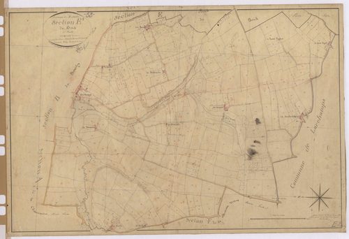 Section E2 - Bois (le)