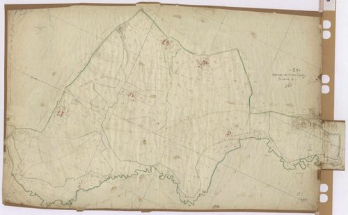 Section C1 - Forêt (la)