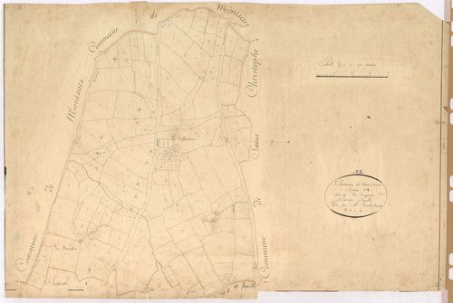 Section C1 - Coupaude (la)
