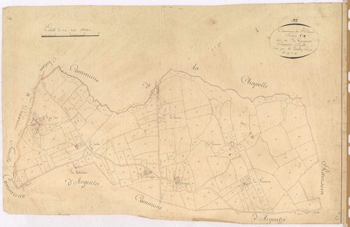 Section C5 - Coupaude (la)