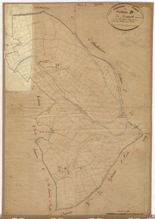 Section D2 - Tanis