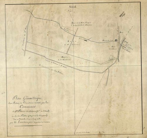 Plan géométrique d'une portion de territoire contesté par les communes de Saint-Patrice-du-Désert (Orne) et de la Pallu (Mayenne).