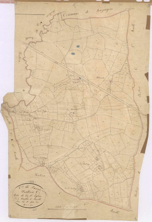 Section C1 - Petite-Eglise (la)