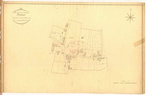 Section Dans A et D - Bourg : développement