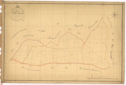 Section A1 - Bois d'Andigné (le)