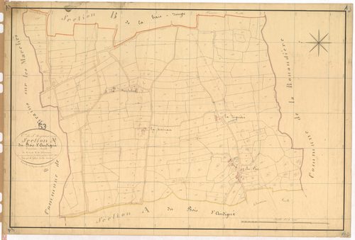 Section A3 - Bois d'Andigné (le)
