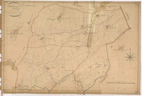 Section C1 - Forêt (la)