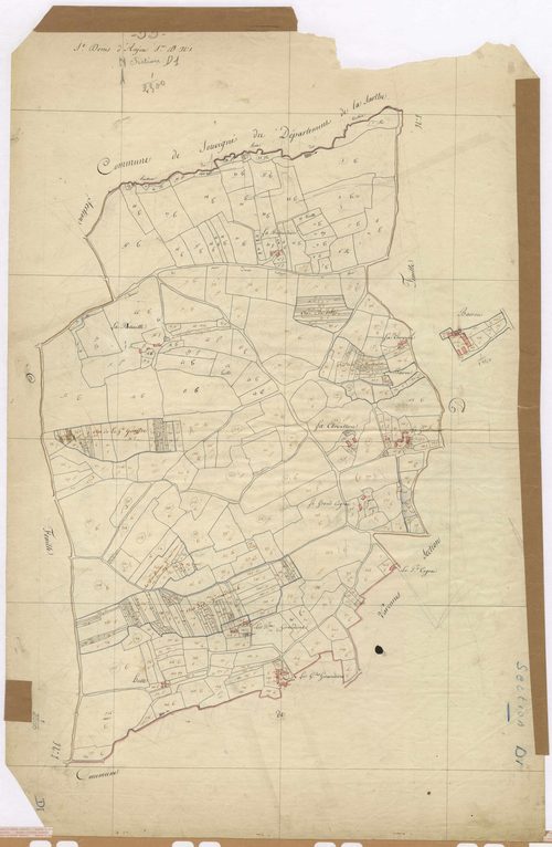 Section D1 - Bef (de)