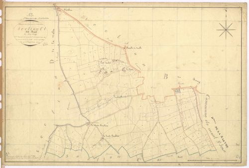 Section C1 - Buis (les)