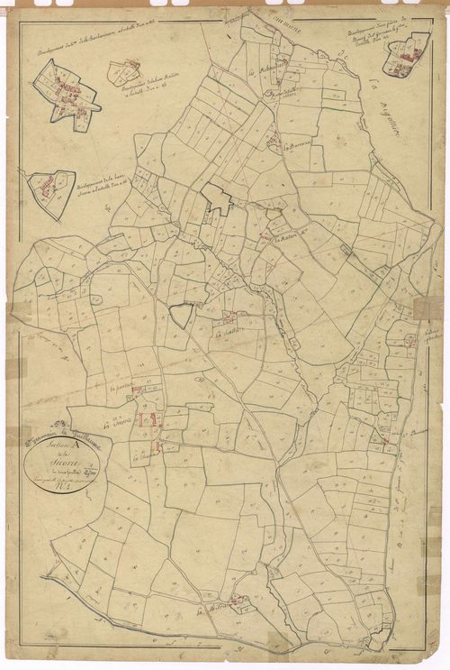 Section A2 - Sicorie (la)