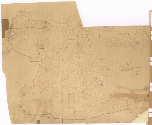 Section C1 - Palu (la)