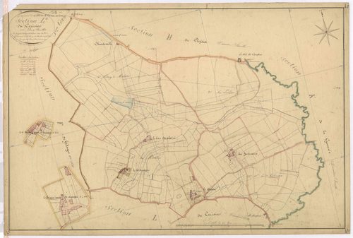 Section L1 - Cerisier (le)