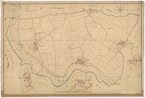 Section L2 - Cerisier (le)