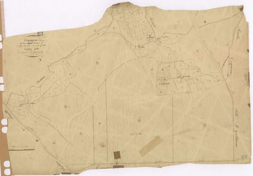 Section C3 - Bois (le)