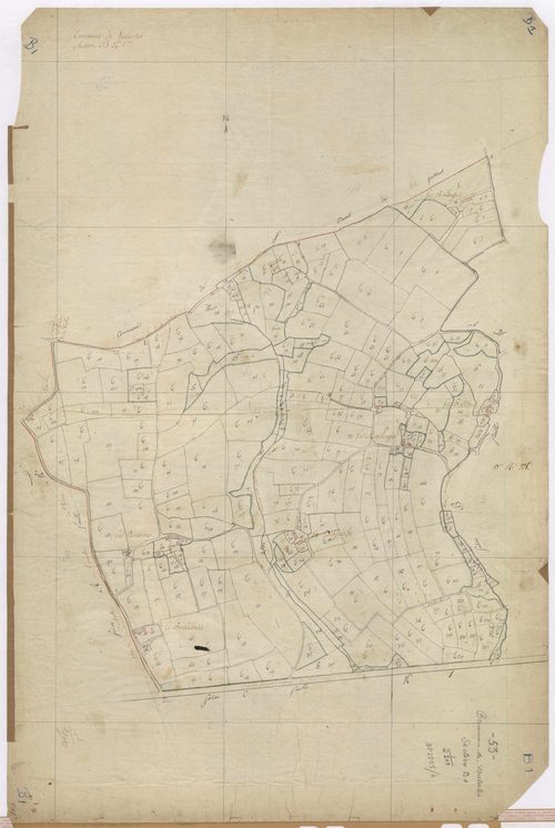 Section B1 - Houx (du)