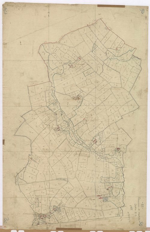 Section B2 - Houx (du)