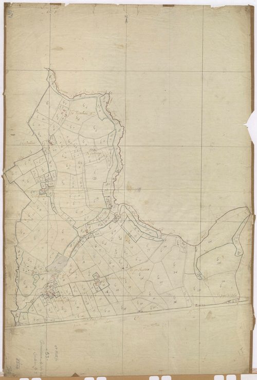 Section B3 - Houx (du)