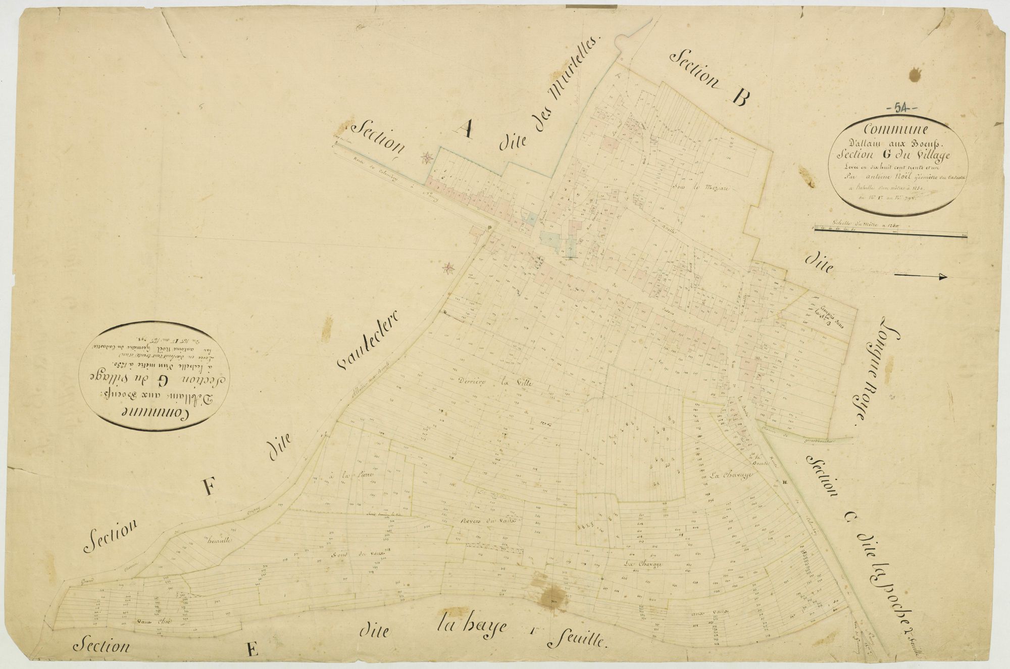 Allain - section G