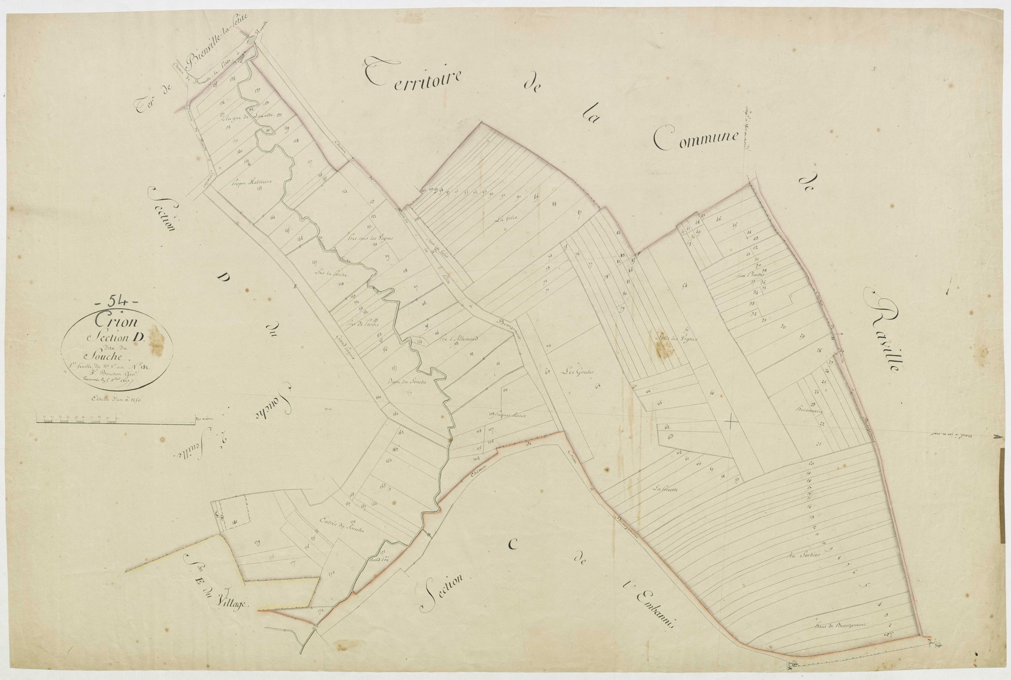Crion - section D