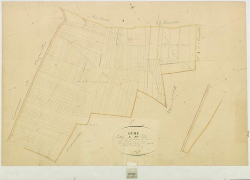Othe - section A