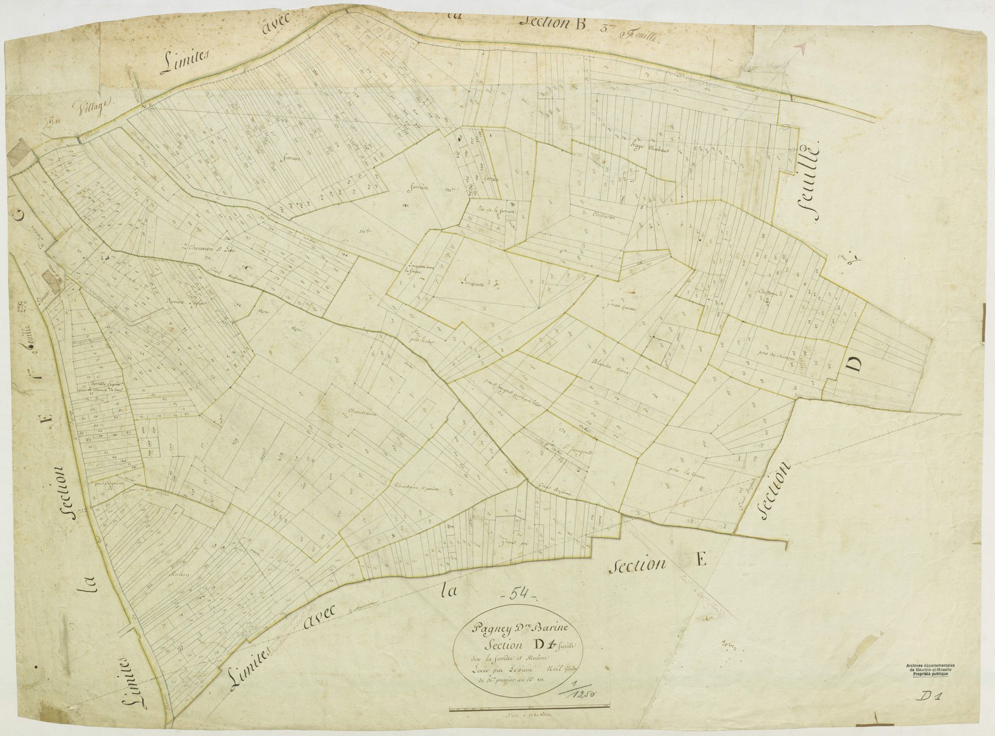 Pagney-derrière-Barine - section D