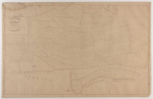 ANCEMONT - Section D - des Trembles - feuille 02