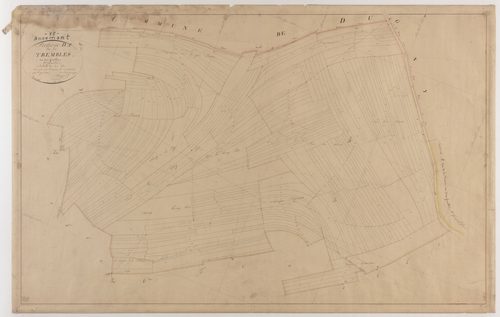 ANCEMONT - Section D - des Trembles - feuille 05