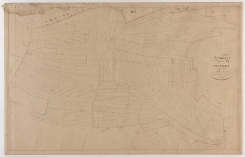 ANCEMONT - Section D - des Trembles - feuille 04