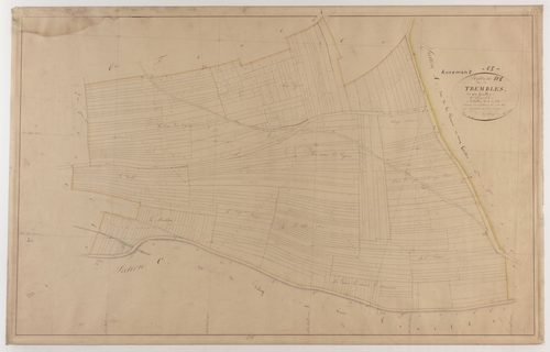 ANCEMONT - Section D - des Trembles - feuille 01
