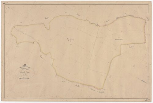 BRABANT-EN-ARGONNE - Section D - du Bois le Comte - feuille 05