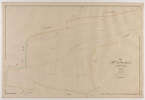 BRABANT-SUR-MEUSE - Section A - des Bois - feuille 08