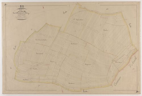 BREUX - Section D - Beaufroy et du Village - feuille 06