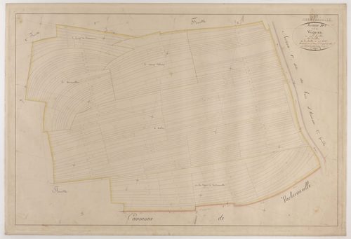 CHAMPNEUVILLE - Section D - des Vignes - feuille 01