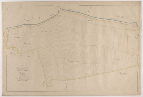 CHAMPNEUVILLE - Section D - des Vignes - feuille 10
