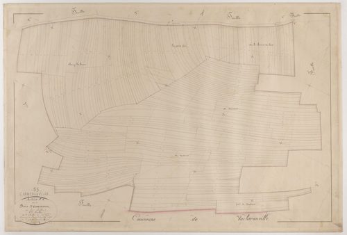 CHAMPNEUVILLE - Section C - des Bois d'Avemont - feuille 06