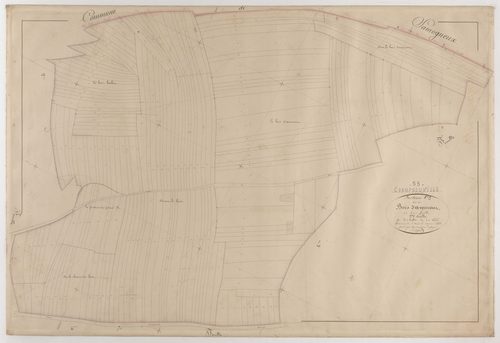 CHAMPNEUVILLE - Section C - des Bois d'Avemont - feuille 03