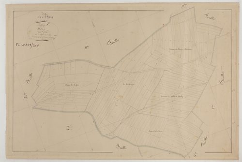 HEVILLIERS - Section C des Bois feuille 03