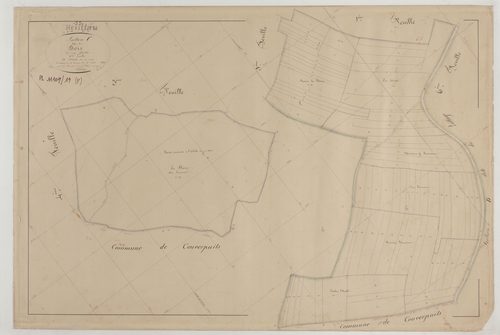 HEVILLIERS - Section C des Bois feuille 02