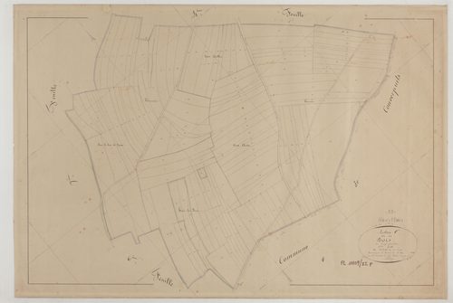 HEVILLIERS - Section C des Bois feuille 05