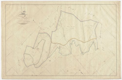 INOR - Section B - des Plantes - feuille 04