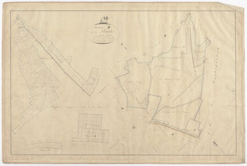 INOR - Section B - des Plantes - feuille 01