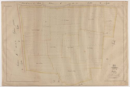 JAMETZ - Section D - des Paquis - feuille 01