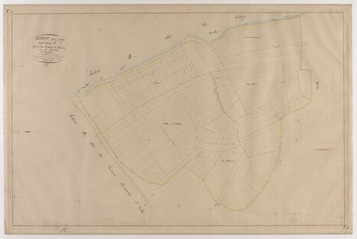 LOUPPY-SUR-LOISON - Section C - la prairie de Woëvre - feuille 01