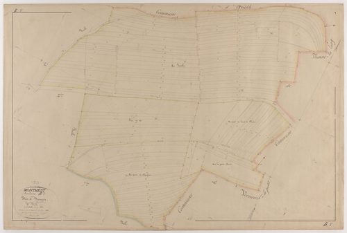 MONTMEDY - Section B - Bois de Fresnois - feuille 03