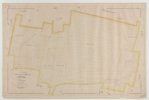 NAIVES-EN-BLOIS - Section D du Bouvrot feuille 06