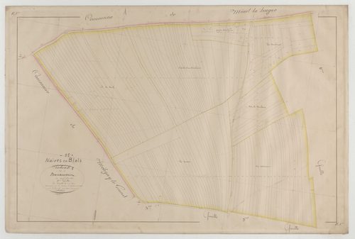 NAIVES-EN-BLOIS - Section E de Banaucourt feuille 05