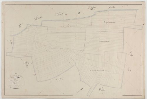 NEUVILLE-EN-VERDUNOIS - Section C du Caurat feuille 05
