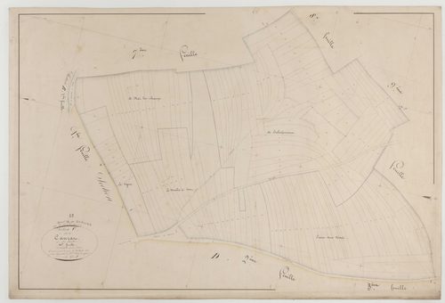 NEUVILLE-EN-VERDUNOIS - Section C du Caurat feuille 10