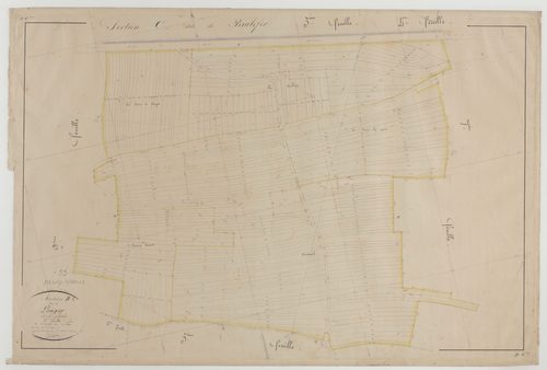 PAGNY-SUR-MEUSE - Section D de Longor feuille 06