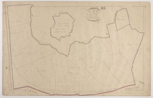 PILLON - Section C - des Bois - feuille 04
